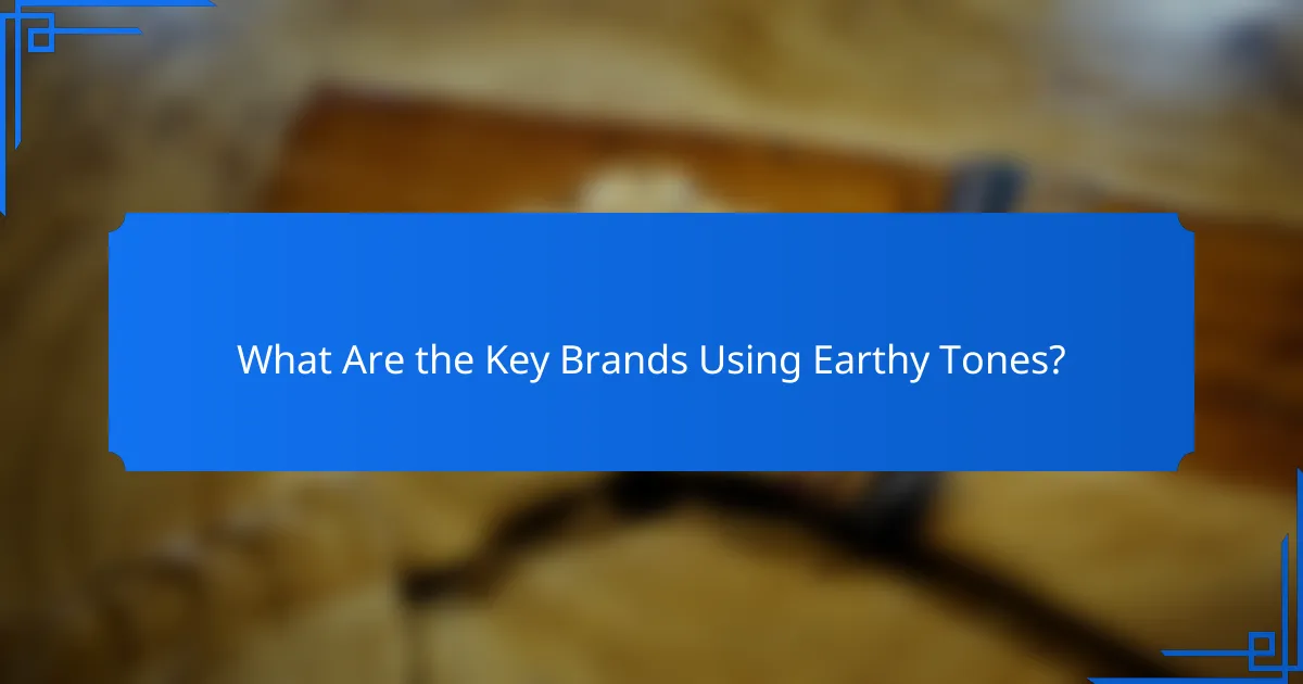 What Are the Key Brands Using Earthy Tones?
